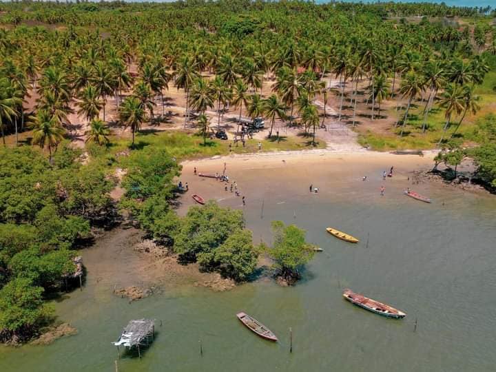 Leia mais sobre o artigo No sábado(12/11) pela manhã aconteceu mais um mutirão de limpeza nas margens da Laguna Guaraíras.