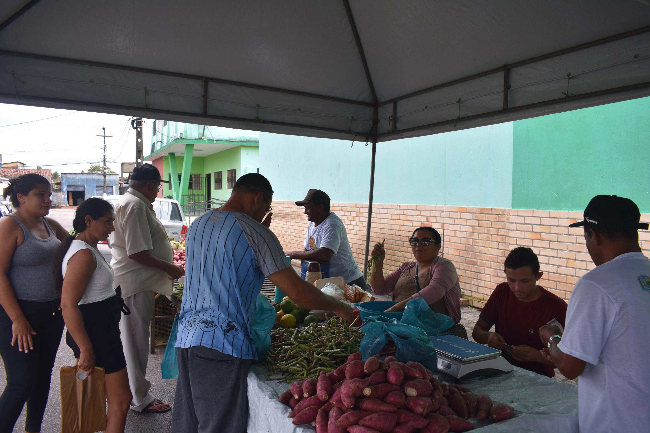 Leia mais sobre o artigo A Feira da Agricultura Famíliar, um projeto da Prefeitura de Arez, através da Secretaria Municipal de Agricultura, que visa fortalecer a comercialização de produtos rurais dos pequenos agricultores, está sendo um sucesso!