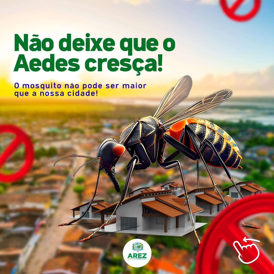 Leia mais sobre o artigo Não deixe que o AEDES cresça!